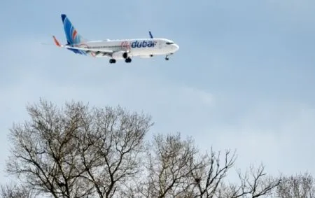 Самолет FlyDubai разбился в Ростове-на-Дону из-за отдачи штурвала от себя