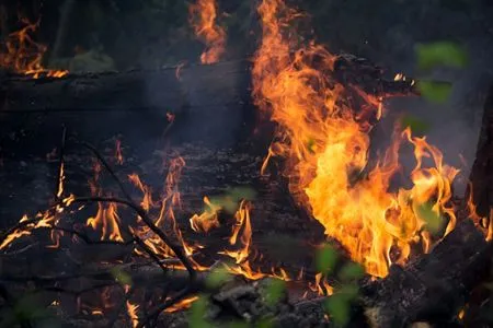 Почти три тыс. гектаров леса выгорело за сутки на Дальнем Востоке