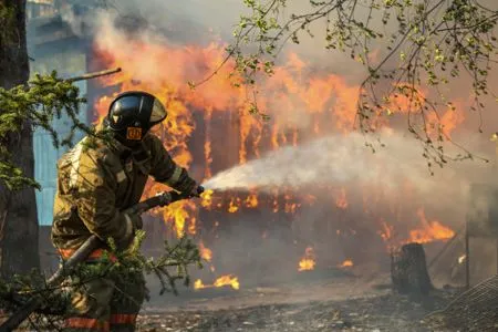 Свыше 110 лесных пожаров зафиксировано на востоке России