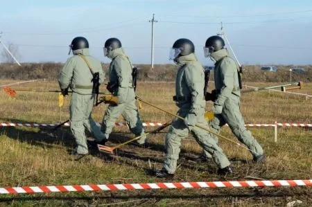 Военные начали очищать парк "Александрия" в Петербурге от взрывоопасных предметов времен Великой Отечественной войны