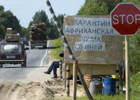 Режим ЧС введен в двух селах в Рязанской области в связи с африканской чумой свиней