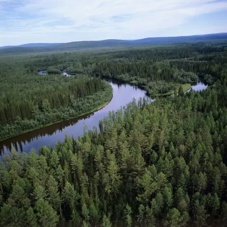 Унесло течением