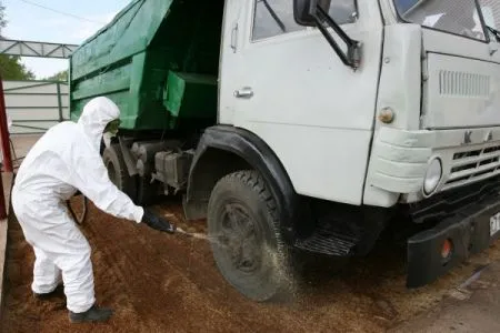 Более 17 тыс. свиней курского агрохолдинга "Надежда" уничтожат из-за вспышки АЧС