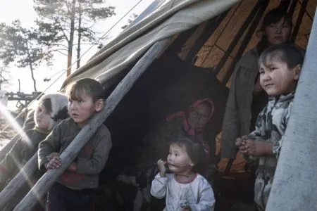 Из близких к "зоне поражения" сибирской язвой районов ЯНАО вывезены женщины, дети и большая часть мужчин