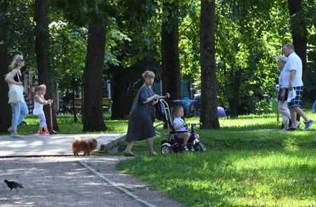 Аномальная жара вновь ожидается в Курганской области