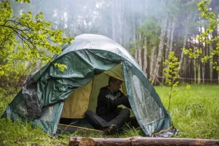 Нахождение людей в лесах ограничено на части территории Ямала