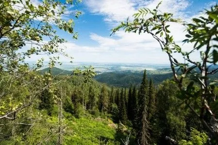 Природный парк создадут вблизи алтайского курорта для регулирования турпотока