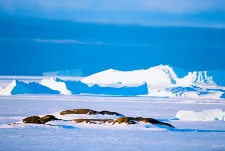 Неприкосновенное море