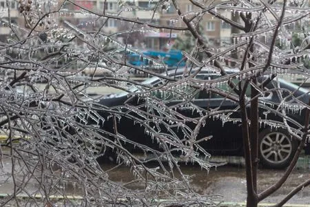 Мокрый снег и ледяной дождь ожидаются в Тульской области