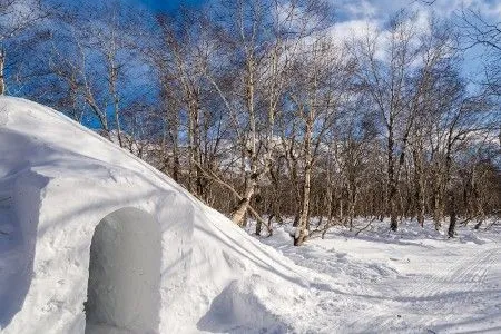 Новый иглу-отель взамен растаявшего весной начали строить на Камчатке