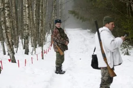 В рамках борьбы с АЧС в Чувашии проведут отстрел диких кабанов