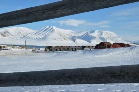 Участникам программы "дальневосточный гектар" на Сахалине раздают земли заповедника