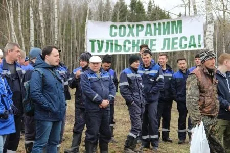 Более 10 тыс. саженцев сосны посадили в Тульской области