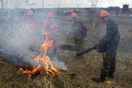 Пожарные тушат более 15 тыс. га загоревшейся сухой травы на Урале