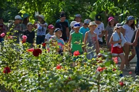 Временно закрыт детский лагерь под Ижевском, в котором произошло массовое отравление