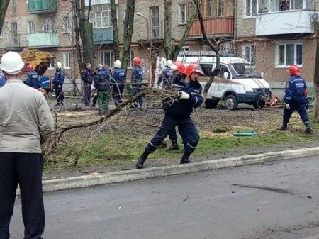 Число пострадавших в результате взрыва в Волгограде возросло до девяти человек, двое погибли