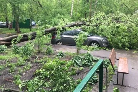 Ураган в столичном регионе