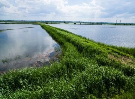 Власти Адыгеи выплатят по 10 тыс. рублей матпомощи семьям, пострадавшим от паводка