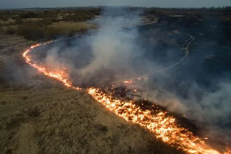 Режим ЧС введен в Туве из-за сухой и жаркой погоды