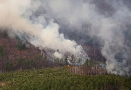 Более 7 тыс. га тайги горит в заповеднике на берегу Байкала