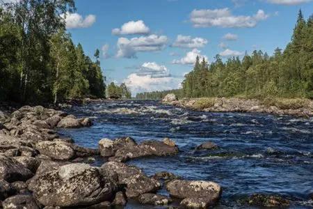 Туристка из Подмосковья погибла во время сплава по реке в Карелии