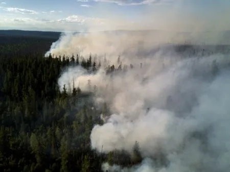 Почти 16 тыс. га пройдено за сутки природными пожарами на Дальнем Востоке