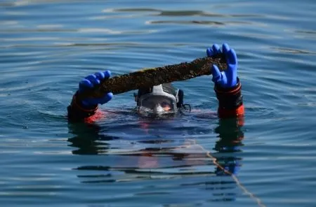 Более 1,2 тыс. кубометров мусора подняли за полгода из водоемов Петербурга