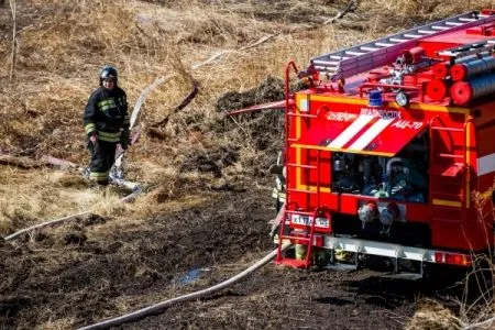 Ситуация с природными пожарами в Волгоградской области стабилизирована