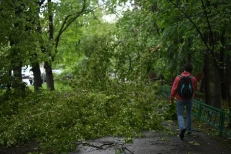 В Калининградской области устраняют последствия шторма