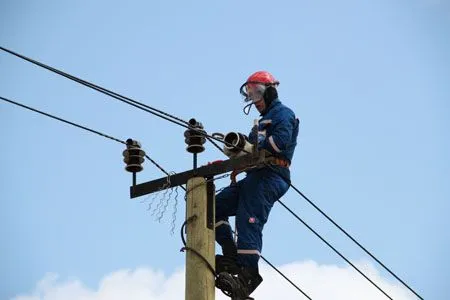 МОЭСК заменит в лесах Московского региона все устаревшие провода на воздушных ЛЭП 6-10 кВ