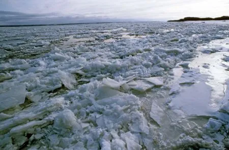 Из-за ледостава на реке Тура в Тюмени возможны перебои с водоснабжением