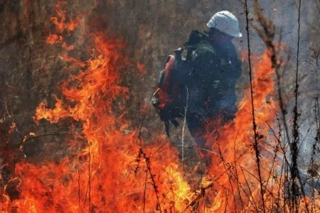 Пять лесных пожаров тушат в Забайкалье