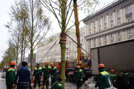 Весной в Москве высадят 4,5 тыс. деревьев