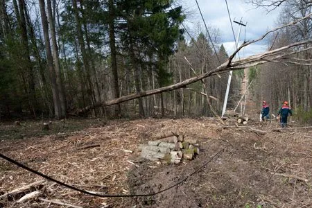 Более 1 тыс. сотрудников МОЭСК устраняли последствия грозы в новой Москве и Подмосковье