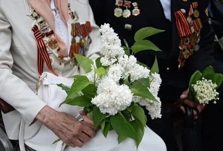 Сиреневая аллея маршалов Победы появилась в городе-герое Туле