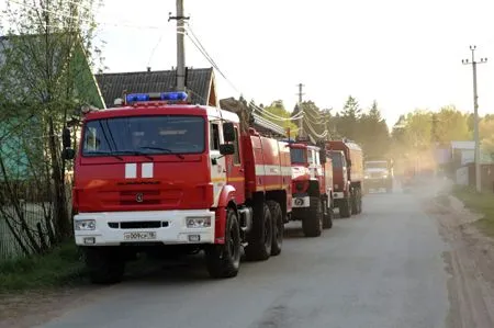 Пожар в удмуртском Пугачево локализован на площади 300 га