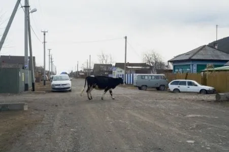 Подтопленные паводком дома в якутском селе Харбалаах освободились от воды