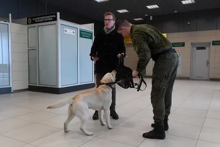 Аэропорт Казани эвакуировали из-за звонка о заложенном взрывном устройстве