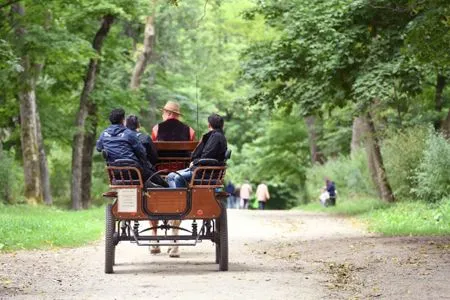 Потомки Льва Толстого соберутся к 190-летию писателя в Ясной Поляне под Тулой