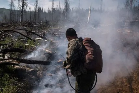 Природный пожар в лесах Владимирской области почти потушен