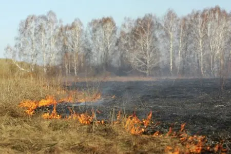 Ликвидирован крупный степной пожар в Оренбургской области