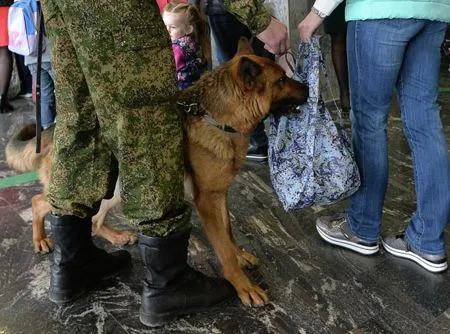 Забайкальская таможня увеличила сотрудников сотрудников на границе с Китаем после давки туристов