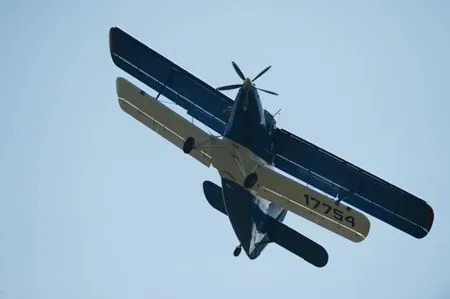 Самолет Ан-2 с 11 пассажирами совершил жесткую посадку в Архангельской области