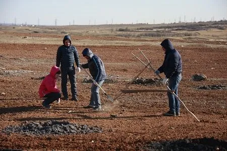 Порядка 6 тыс. деревьев высадят на месте ликвидированной в Волгограде свалки