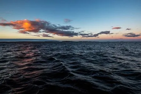 Пляжи и водоемы Северо-Запада загрязнены микропластиком, его влияние на здоровье предстоит исследовать