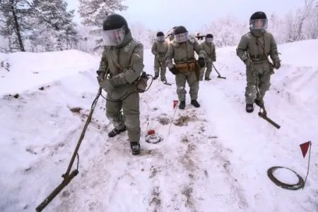 Пограничники нашли 134 немецких минометных снаряда на юге Мурманской области