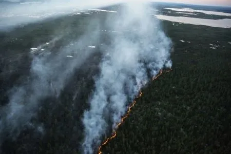 Лесопожарный сезон в Сибири будет сложным из-за погоды