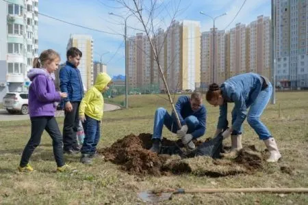 Родители новорожденных смогут посадить своё дерево в столичных парках