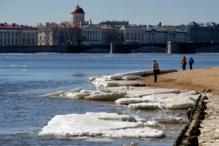 До плюс 10 потеплеет в Петербурге и Ленобласти к концу недели