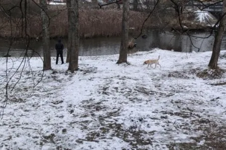 Благоустройство парка у Яузы началось на северо-востоке Москвы